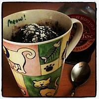 recette Chocolate Mug Cake