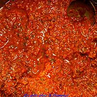 recette Sauce tomate et coriandre de Kat