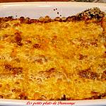 recette Lasagne sauce tomate et coriandre de Kat