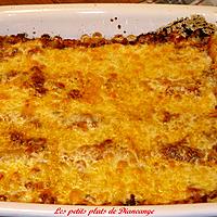 recette Lasagne sauce tomate et coriandre de Kat