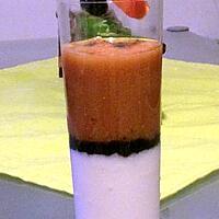 recette Verrine apéritif gelée de salakis coulis de tomate