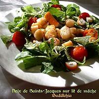 recette Noix de Saint-Jacques sur lit de mâche