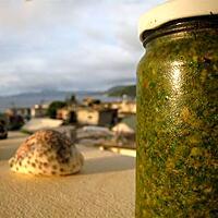 recette Pesto basilic-roquette du pauvre