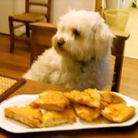 recette ESCALOPES DE POULET PANES