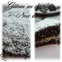 recette Gâteau chocolat noix de coco