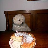 recette GÂTEAU AU CITRON "anglais"