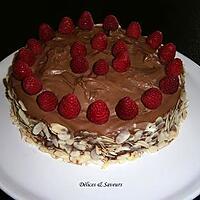 recette Gâteau chocolat/framboises