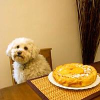 recette GÂTEAU AUX KAKIS