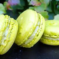 recette macarons à la  pistache