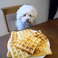 recette GAUFFRES pour le goûter !