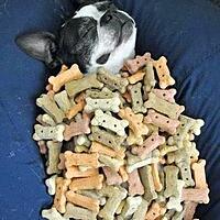 recette Ce week end j'ai décidé de dormir, manger et dormir et vous allez vous faire la même chose....(origine photo et phrase du jeu WORDOX)