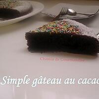 recette Gâteau aux yaourt saveur cacao