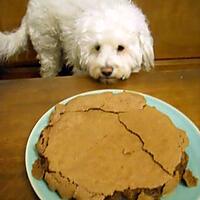 recette FONDANT AU CHOCOLAT DE ROSY