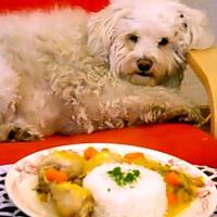 recette PETITE BLANQUETTE DE POULET LEGERE